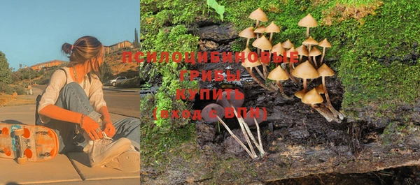 прущий лед Армянск